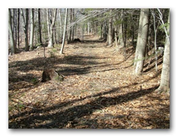 10 Bray Rd, Shelburne Falls, MA 01370 - photo 1