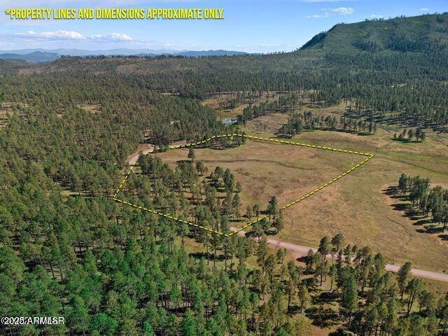 1A Forest Road 26 --, Alpine, AZ 85920 - photo 1