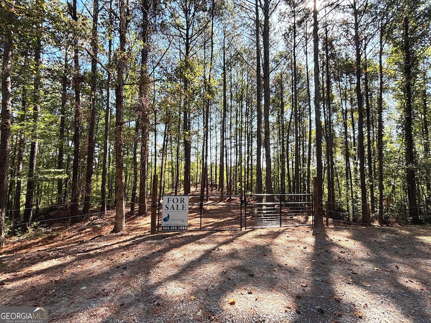 Gate #1 Landscape, middle of property