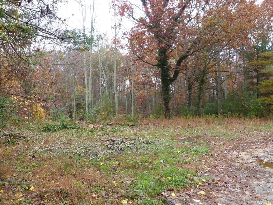 99 Blooming Laurel Dr, Hendersonville, NC 28792 - photo 1