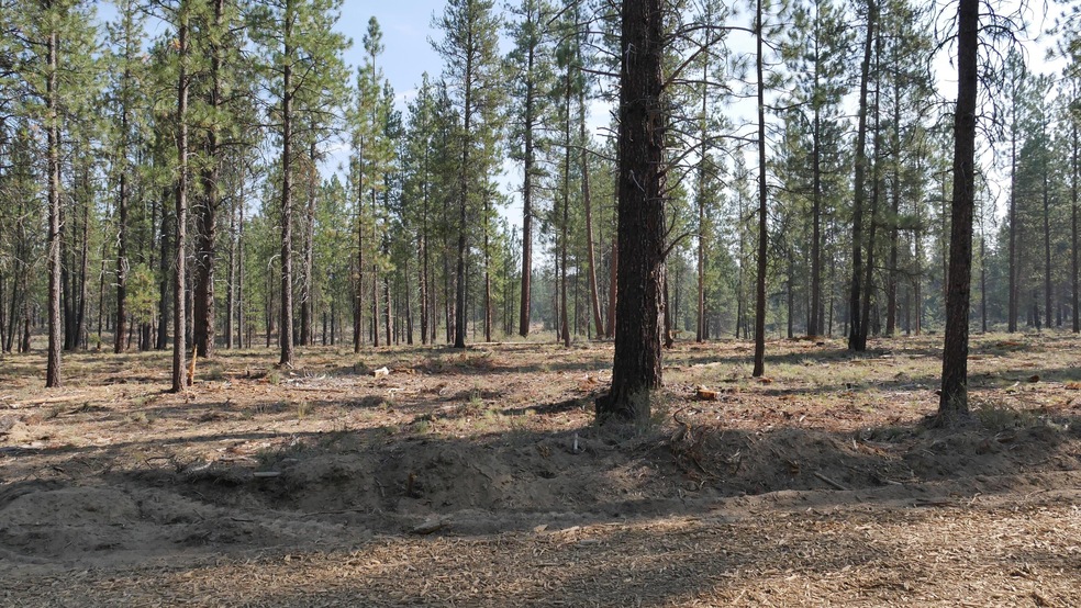 Front of homesite