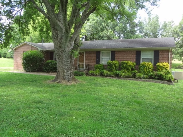 Really nice shady front yard