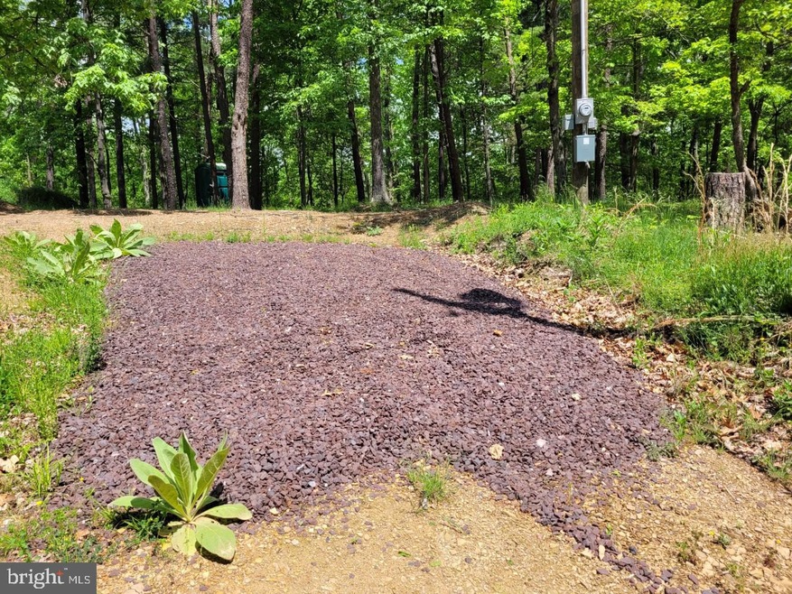 0 Roy Guinn Rd unit WVHS2001870, Points, WV 25437 - photo 1