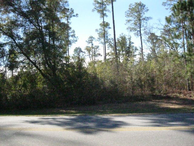 1206 Lily Pond Rd, Albany, GA 31707 - photo 1