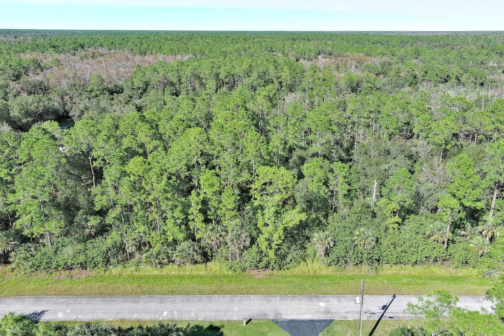 4669 32nd Ave SE, Rural Estates, FL 34117 - photo 1