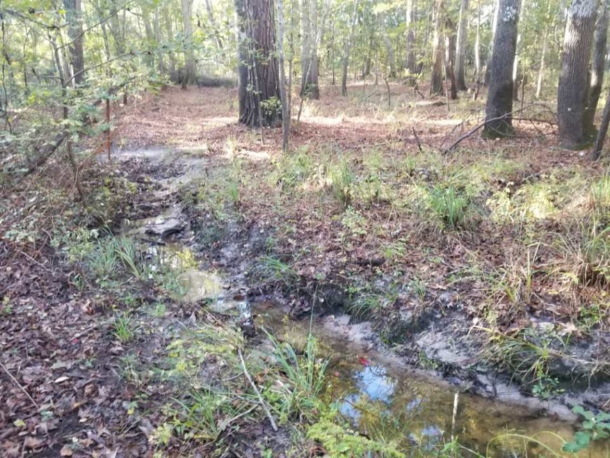 0 Peacemaker Lake Rd unit 288847, Monticello, FL 32344 - photo 1