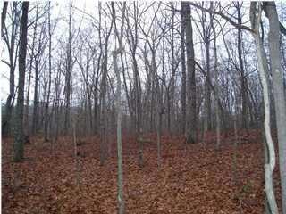 0 Clearbrooks Lot 3 Main