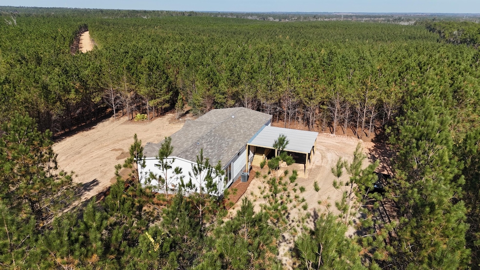 1262 Penny Morris Rd, Baxley, GA 31513 - photo 1