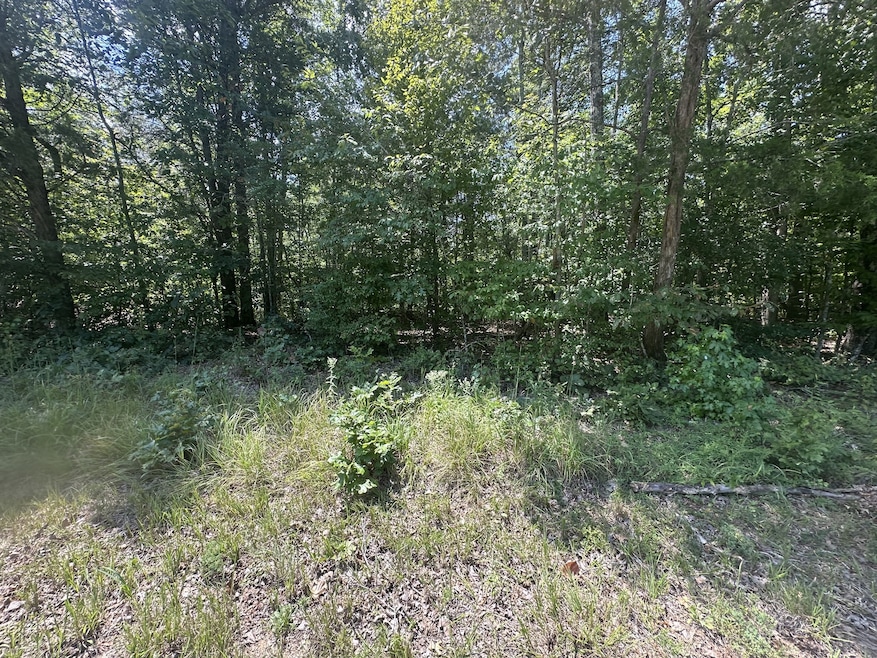 0 Brodies Landing Rd unit RTC2971507, Parsons, TN 38363 - photo 1