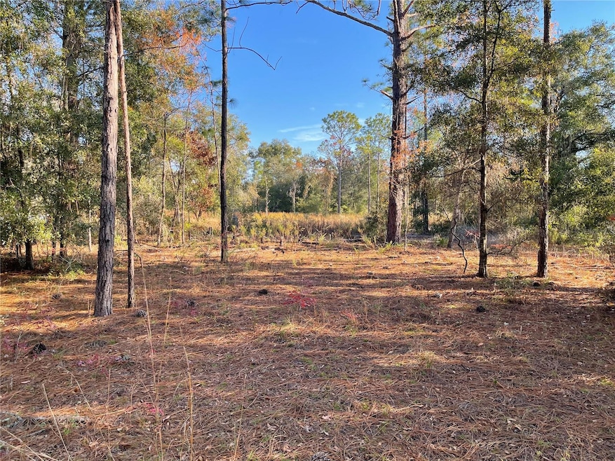 9650 NE 80th St, Bronson, FL 32621 - photo 1