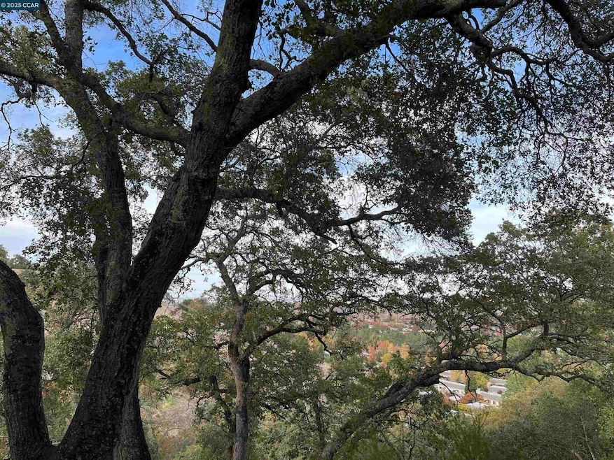 3120 Ptarmigan Dr unit 3, Walnut Creek, CA 94595 - photo 1