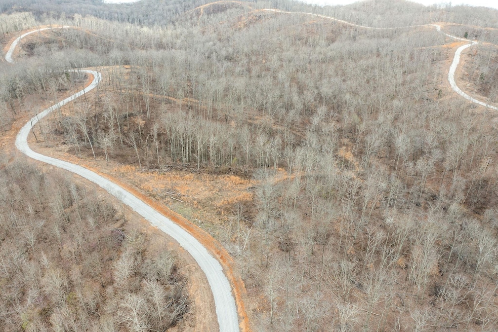 62 Vista Ridge, Stewart, TN 37175 - photo 1