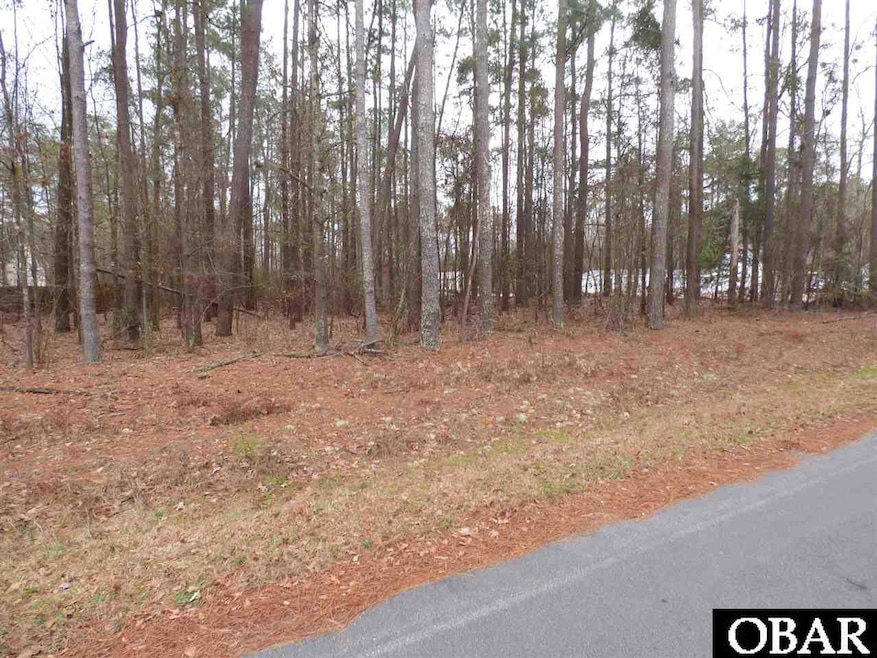 208 Seminole Trail unit Lot 104, Edenton, NC 27932 - photo 1