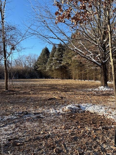 Wasson Road, Unadilla Township, MI 48137 - photo 1