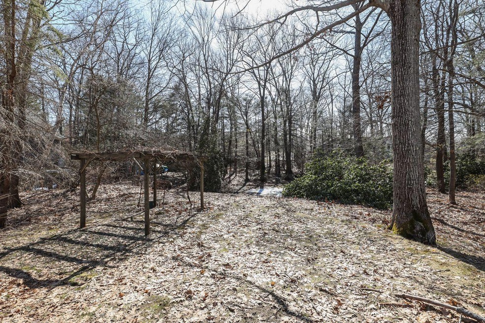 040-photo-8117091