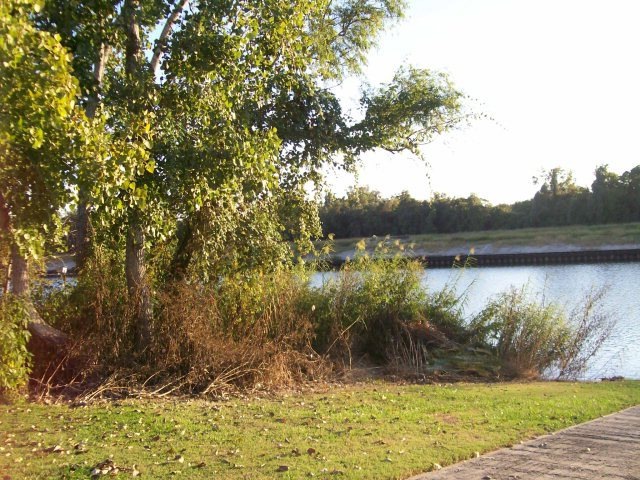 0 Cr 243 unit 771370, Bay City, TX 77414 - photo 1