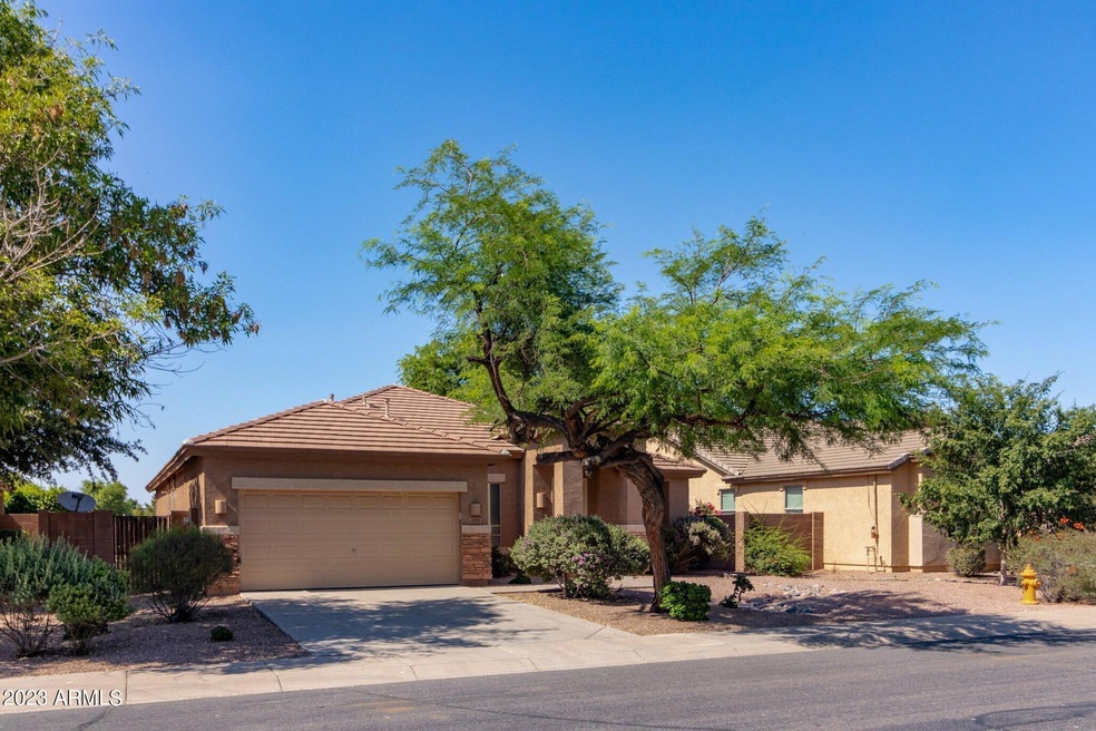 Kingbird (1).jpg-SMALL