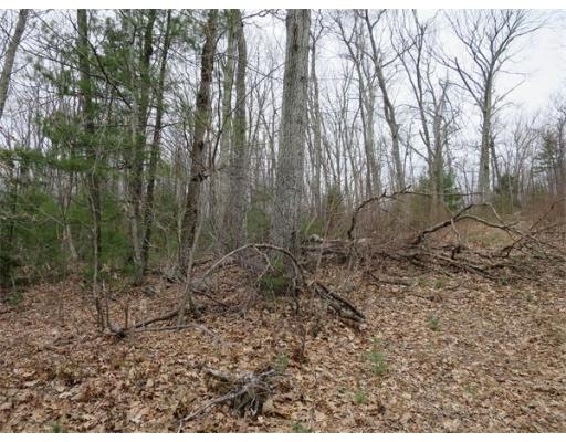 0 Ely Rd unit 71664406, Monson, MA 01057 - photo 1