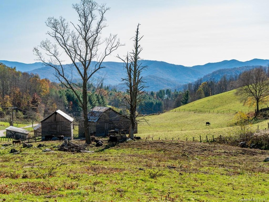 999 Lickskillet Rd, Cane River, NC 28714 - photo 1
