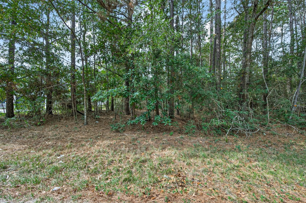 Lot 453 N Woods, Cleveland, TX 77328 - photo 1
