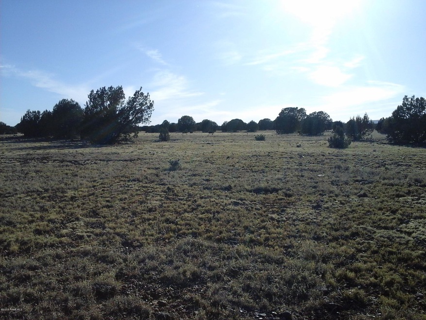 Lot 140 Juniperwood Ranch Unit 4, Ash Fork, AZ 86320 - photo 1