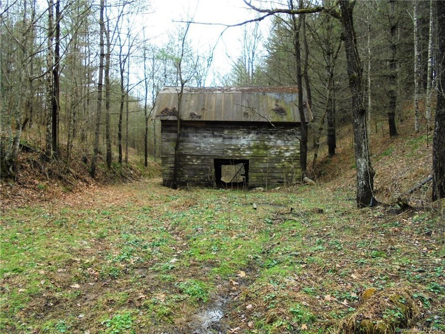 000 Hardscrabble Rd, Burnsville, NC 28714 - photo 1