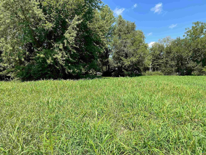 217 E Morgan St, Sedalia, MO 65301 - photo 1