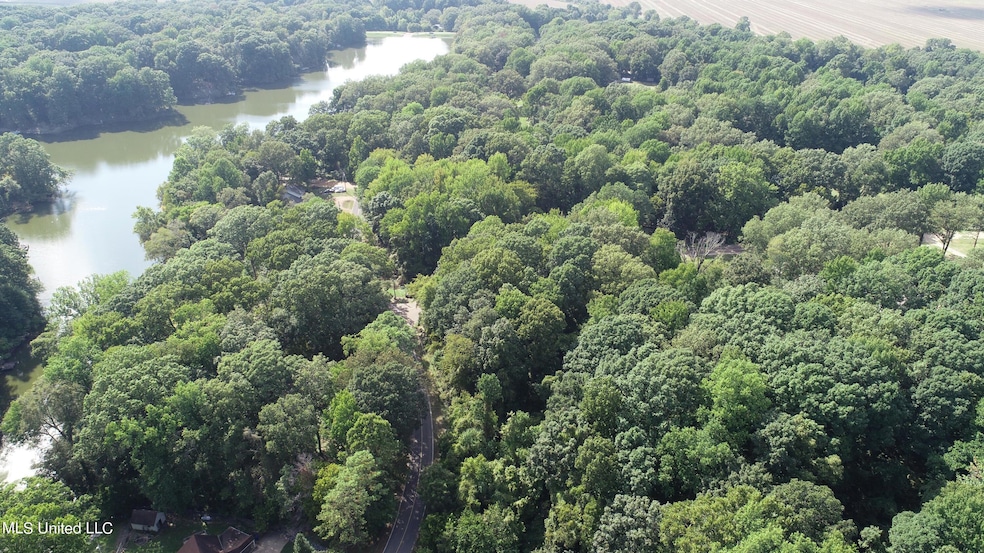 11015 Horseshoe Bend, Hernando, MS 38632 - photo 1