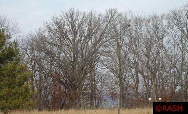 2212 Coventry Ln, North Mankato, MN 56003 - photo 1