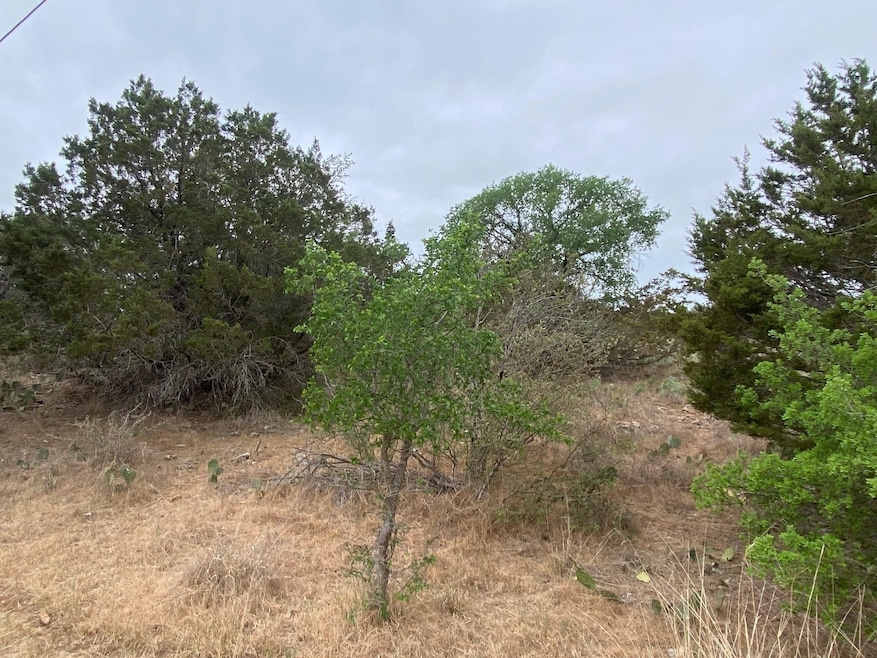 Lot 22 Cr 140, Burnet, TX 78611 - photo 1
