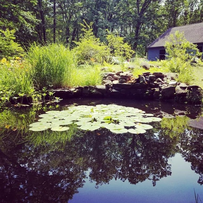 24 Ayers Rd, Canterbury, NH 03224 - photo 1