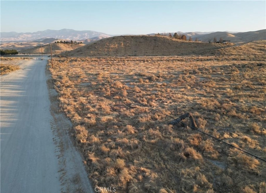 0 Scott Dr unit SR25265182, Maricopa, CA 93252 - photo 1