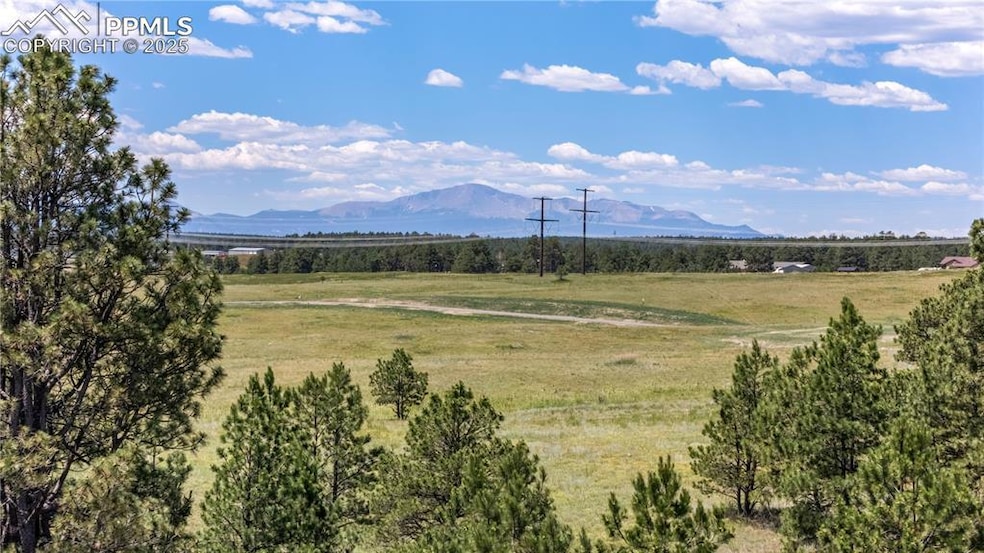 10438 Alamar Way, Black Forest, CO 80908 - photo 1