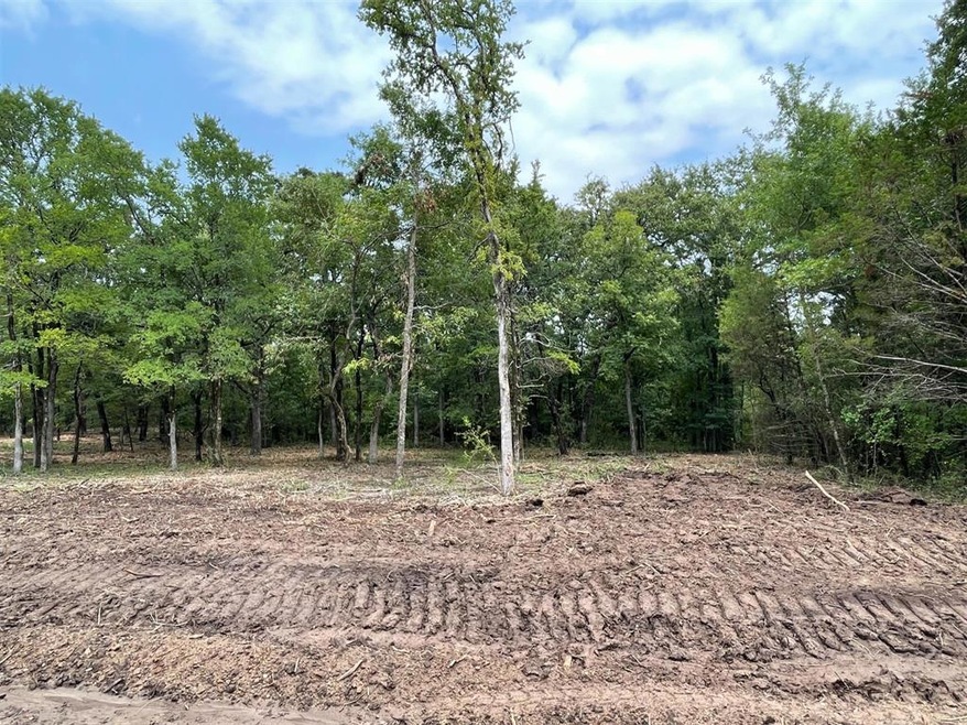 615 Roy Coffee Ct, Weatherford, TX 76087 - photo 1