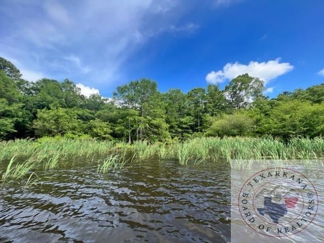 000 S Eagle's Way Llc, Bradley, AR 71845 - photo 1