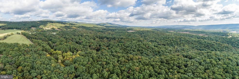 265 Balmoral Ln, Gainesboro, VA 22603 - photo 1