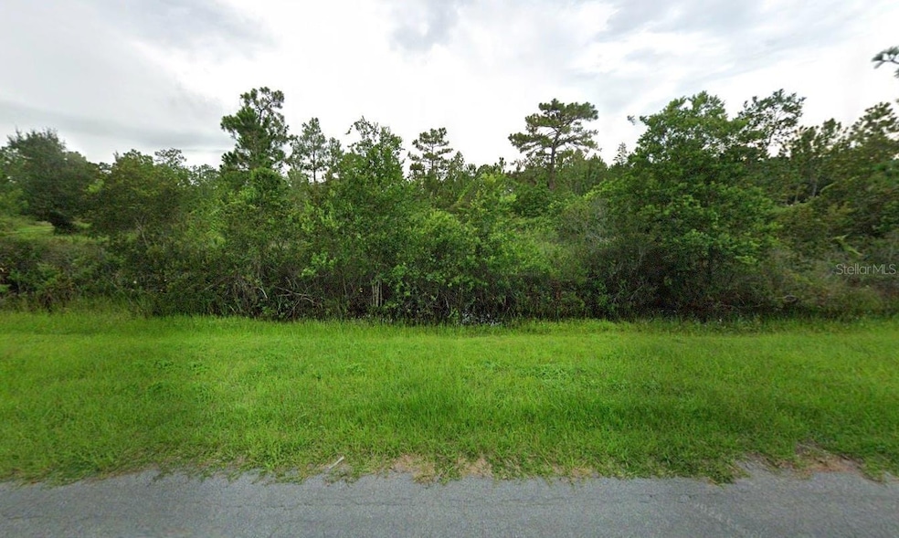 0 Robertson St unit MFRO6365392, Orlando, FL 32833 - photo 1