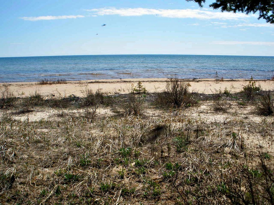 300 ft. of sandy beach