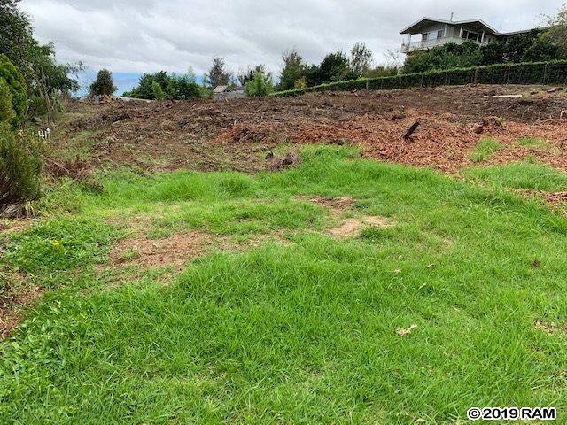 23 Upu Place, Kula, HI 96790 - photo 1