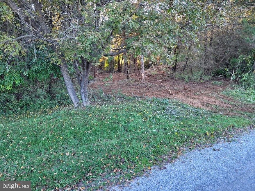 Lot 19 Burch Ln, Boyce, VA 22620 - photo 1
