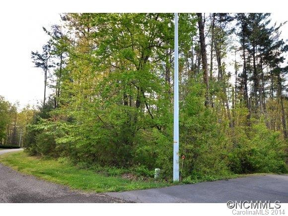 50 Cane Brook Dr unit 10, Leicester, NC 28748 - photo 1