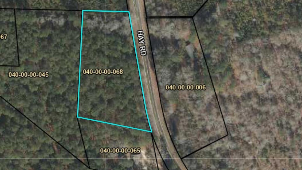 0 Hay Rd unit 216007, Barnwell, SC 29812 - photo 1