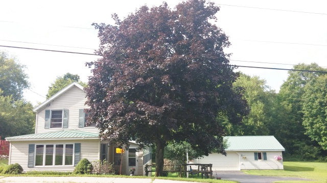 Main View