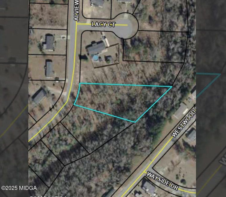 234 Alview Dr, Macon, GA 31206 - photo 1