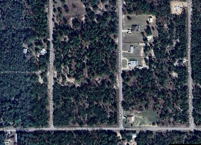 0 SW Lemon Hill Dr unit 23604216, Dunnellon, FL 34431 - photo 1