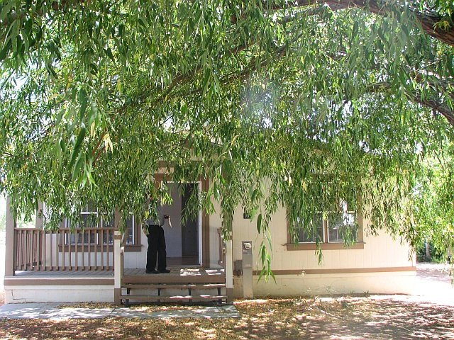 Primary Photo