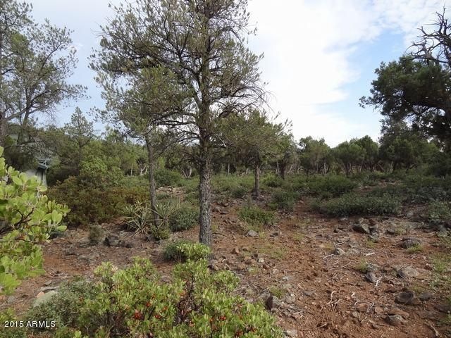 807 E Phoenix St unit 50, Payson, AZ 85541 - photo 1