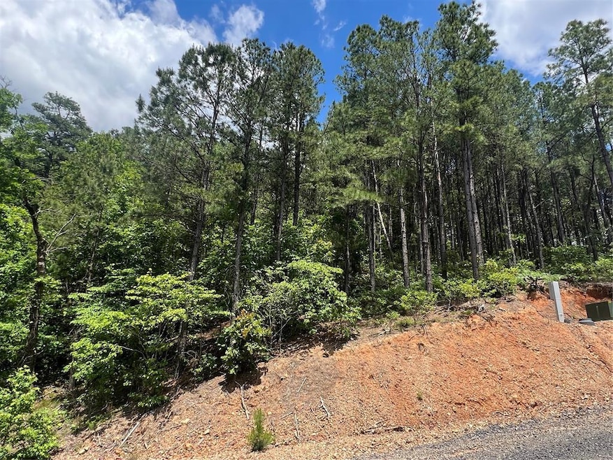 View of woods