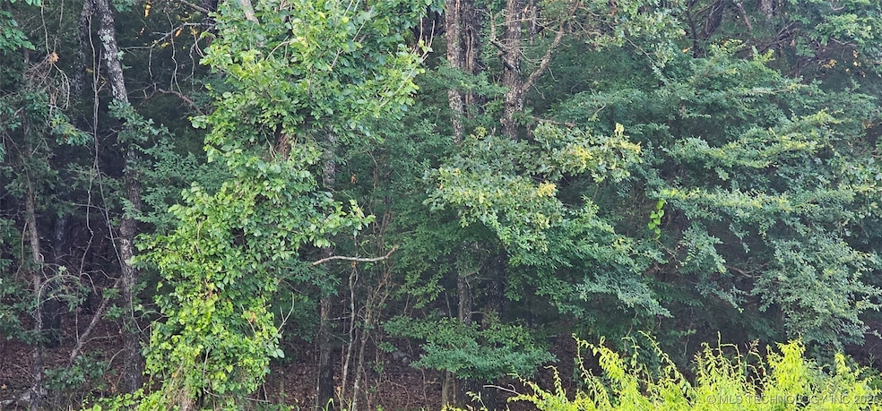 0 E Moonshine 1000 Rd unit 2526568, Gore, OK 74435 - photo 1