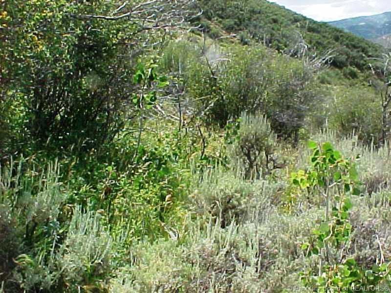 Land/Lot.